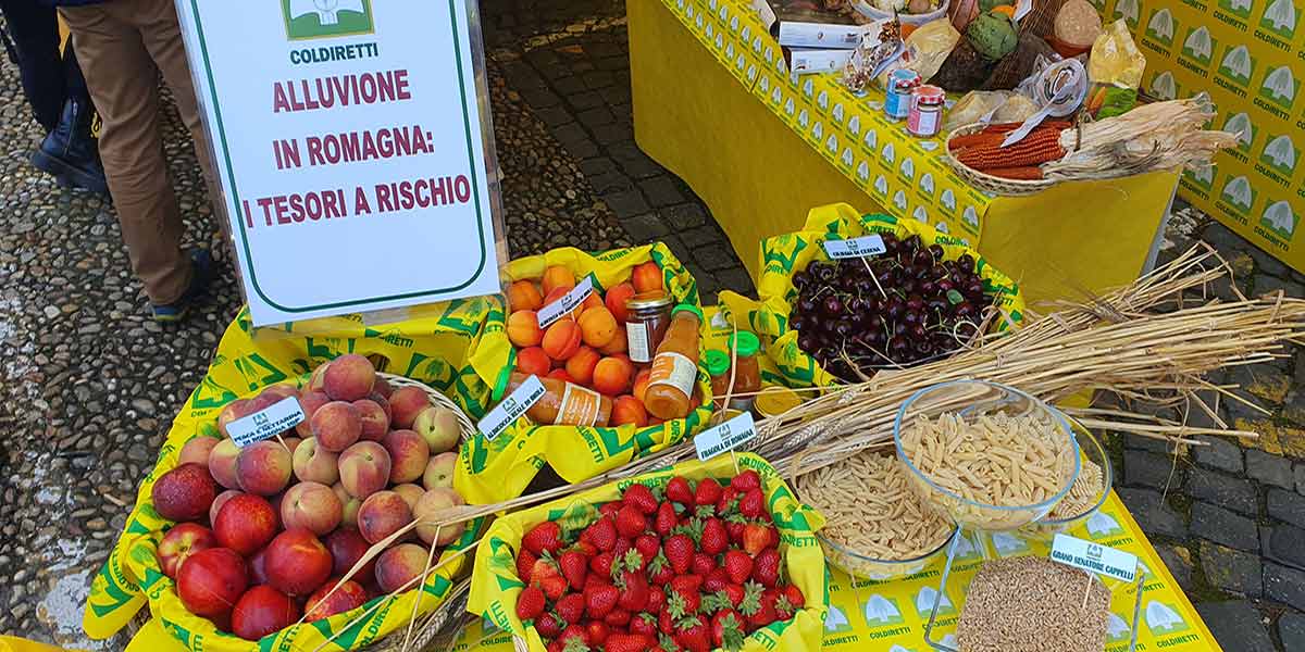 «Con l'alluvione persa produzione agricola per 1,5 miliardi»